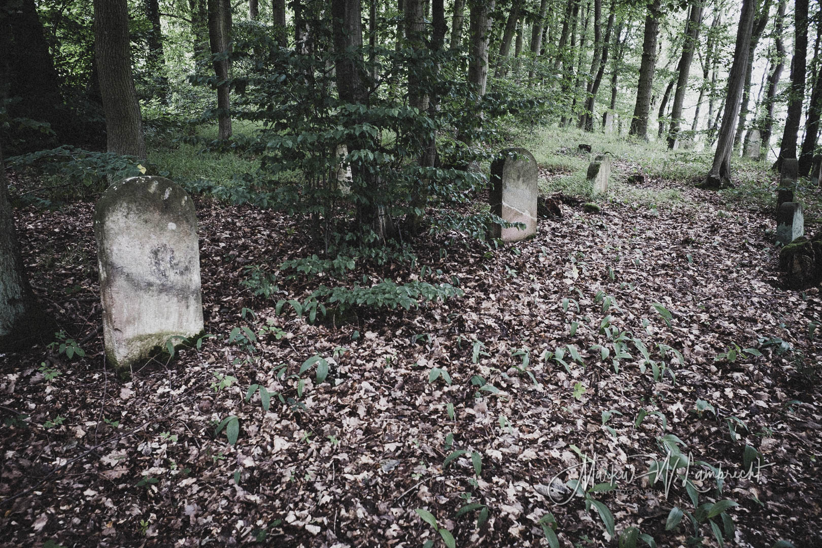 Wanfried, Jüdischer Friedhof